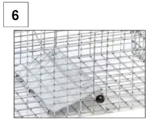 HAVAHART Large 1 -- Overview 6