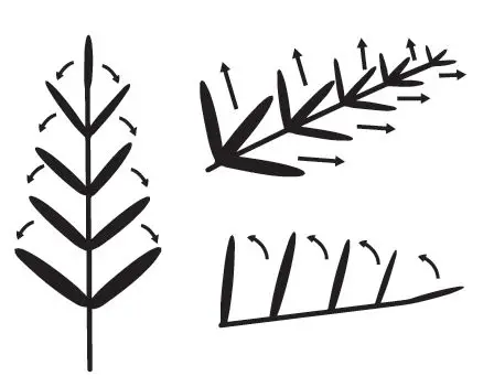 HOME-DECORATORS-22PG90033-7.5 ft-Waldorf-Fir-Christmas-Tree-5