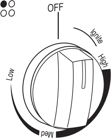 WFG320M0MS - Electronic Ignition System 1