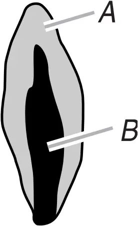 WFG320M0MS - Electronic Ignition System 2