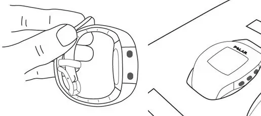 Polar GoFit Web Service - MONITORS IN POLAR GOFIT