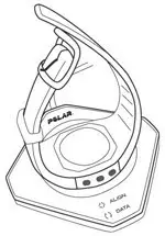 Polar GoFit Web Service - Place the first free activity monitor on the FlowLink