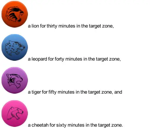 Polar GoFit Web Service - reward badge 2