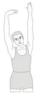 inSPORTline 5729 Exercise Bike Xbike User Manual - Side Stretch