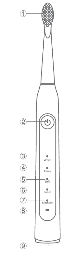 Bitvae-D2-Sonic-Electric-Toothbrush-fi-1