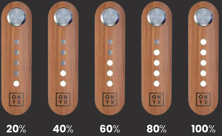 ONYX LZR Electric Bike 15