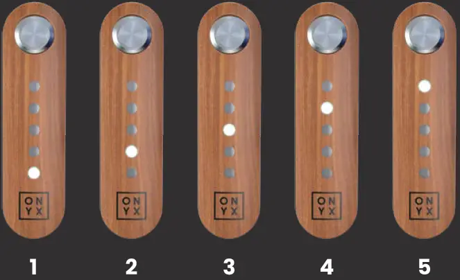 ONYX LZR Electric Bike 17