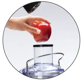 FUSION Juicer User Guide - Step 5