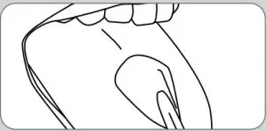 Operating Instructions