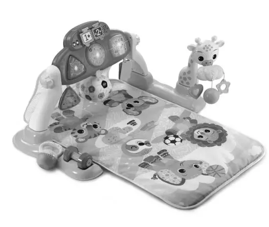 vtech 550100 Kick and Score Play Gym