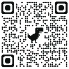 BinBin BB 01 Wireless Portable Speaker - qr