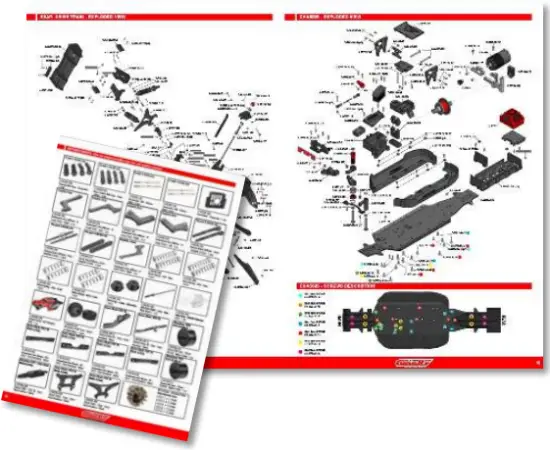CORALLY C-00176 - DOWNLOAD 2