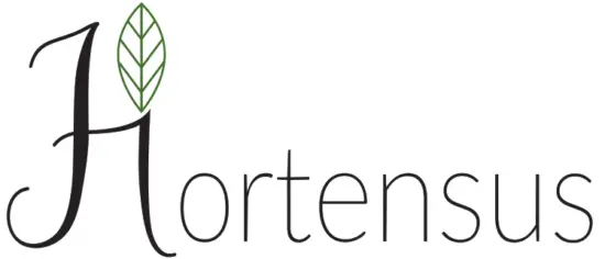 Hortensus Logo