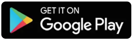 Google Play Store Icon