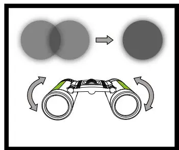 SILVA-37614-Pocket-8x-Binoculars-FIG-1