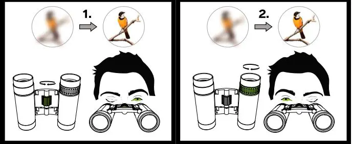 SILVA-37614-Pocket-8x-Binoculars-FIG-2