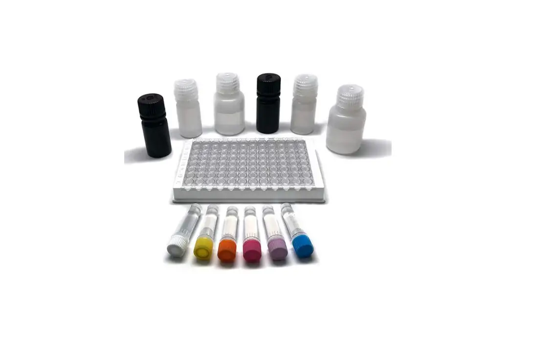 Attogene El2048-01 Saxitoxin Elisa Kit User Manual Attogene El2048-01 Saxitoxin Elisa Kit User Manual