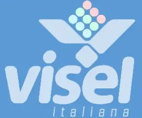 visel Cloud Q-Retail Pro Software - logo 1