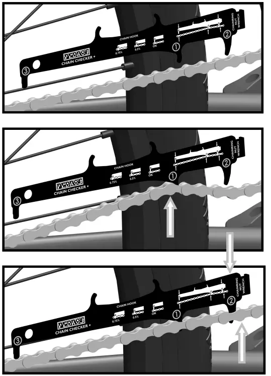 PEDRO-S-Chain-Checker-Plus-II-FIG-1