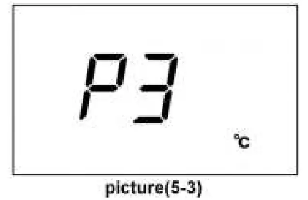 Temperature Units Setting (P3)