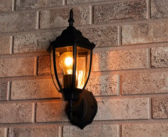 123led nl LDR08646 Wall Luminaire