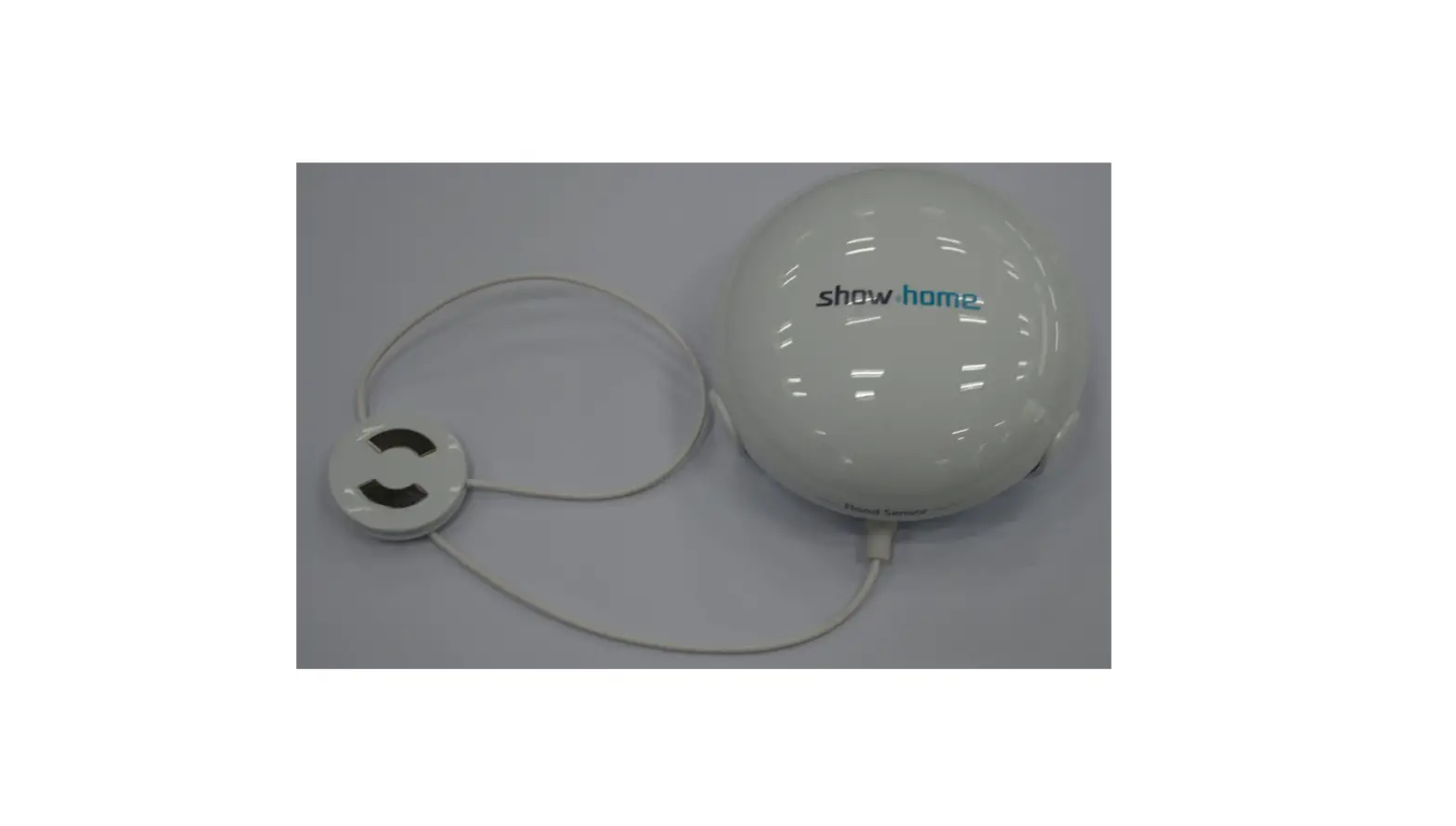 Show Home Flood Sensor Zw-1104 Manual