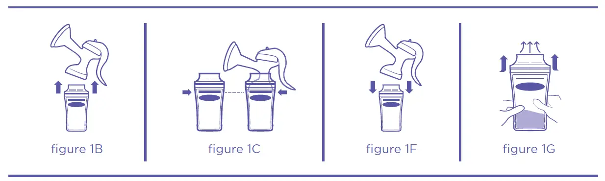 Lansinoh-BG20435-Breastmilk-Storage-Bags-FIG-4