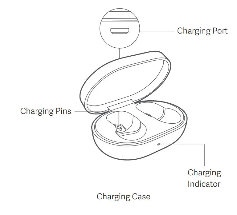 xiaomi ZBW4480GL True Wireless Earbuds User Manual - Charging Case