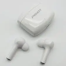 PISEN LS03JL Wireless Earbuds User Manual-product