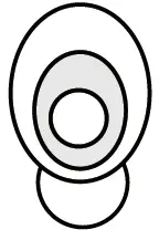 JUST WIRELESS 20526 Pro True Wireless Earbuds fig-3