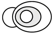 JUST WIRELESS 20526 Pro True Wireless Earbuds fig-4