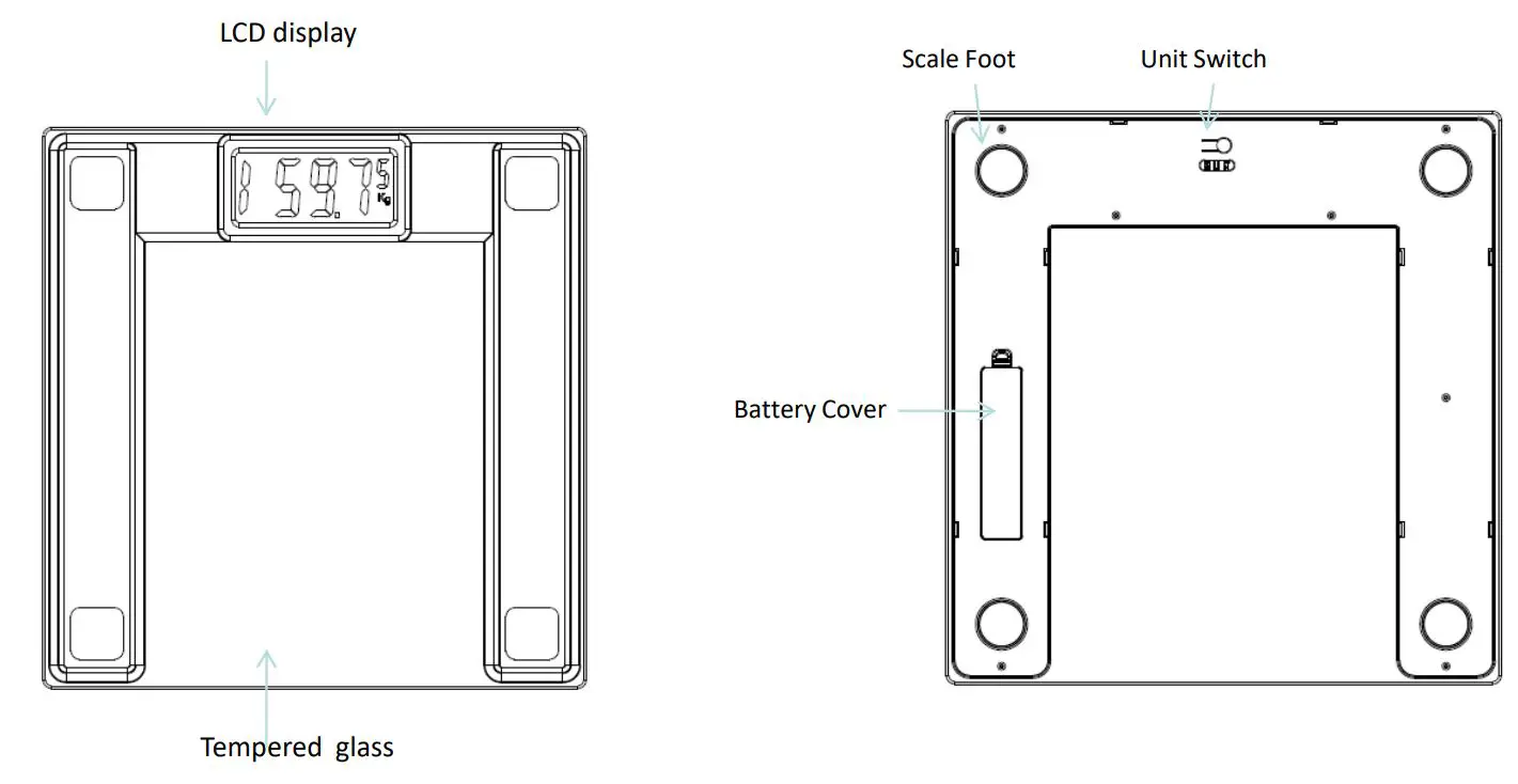 Shenzhen Shine Industrial VT730U Smart Body Weight Scale User Guide - Product Introduction