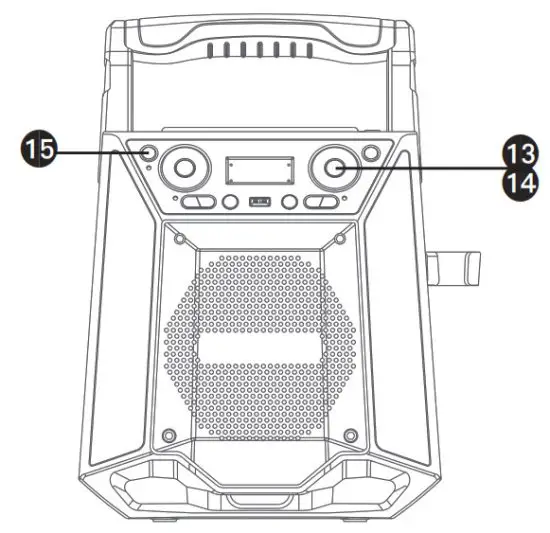 singing machine - During playback