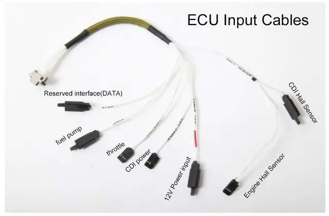ECU Input Cables