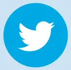 Twitter icon