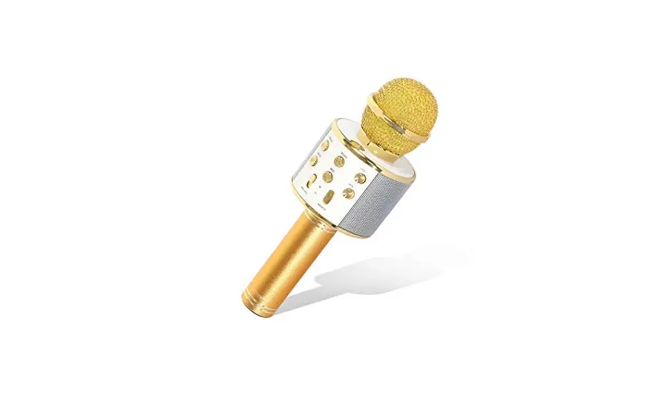 Wewqaei Ws858 Bluetooth Karaoke Microphone Instructions