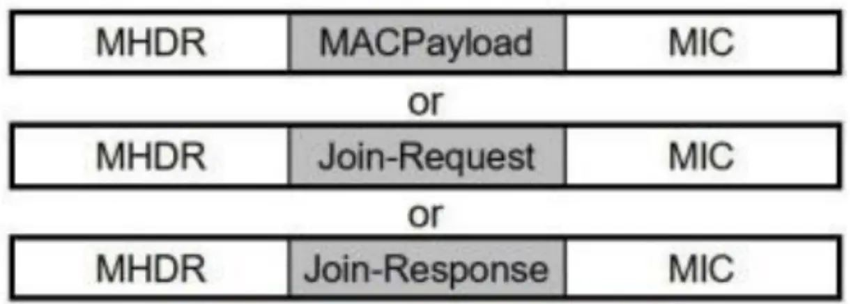 PHY Payload structure