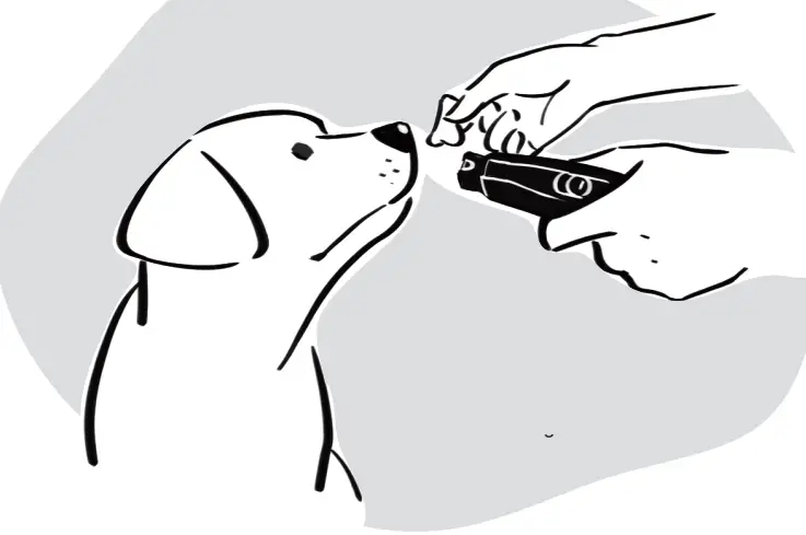 DOGCARE DG01 - Nail Grinding 4