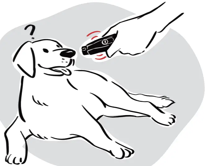 DOGCARE DG01 - Nail Grinding 5