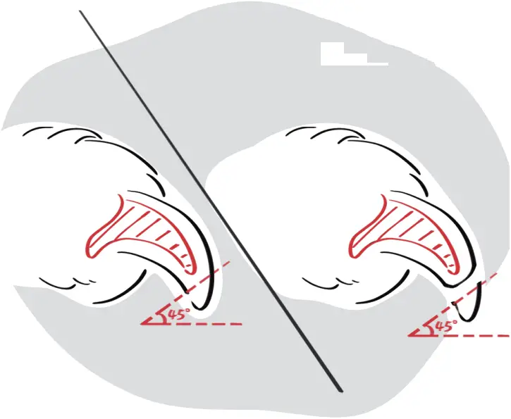 DOGCARE DG01 - Safety Tips 3