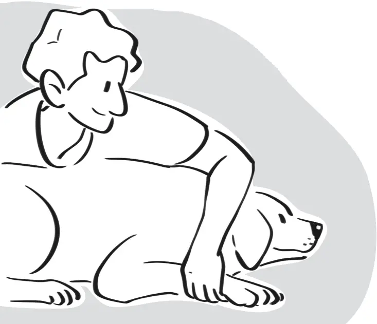 DOGCARE DG01 - Safety Tips 5