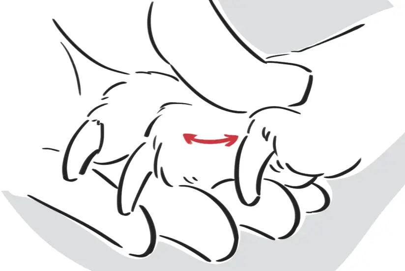 DOGCARE DG01 - Use DogCare 2