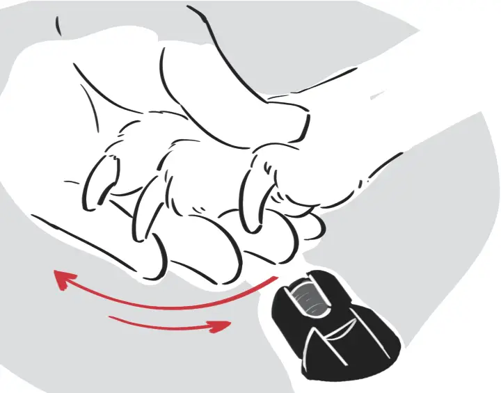 DOGCARE DG01 - Use DogCare 5