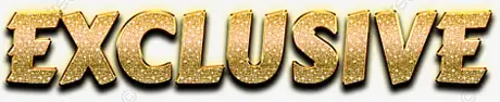 Exclusive logo