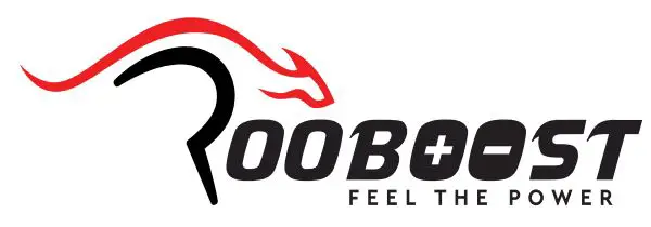 ROOBOOST Logo