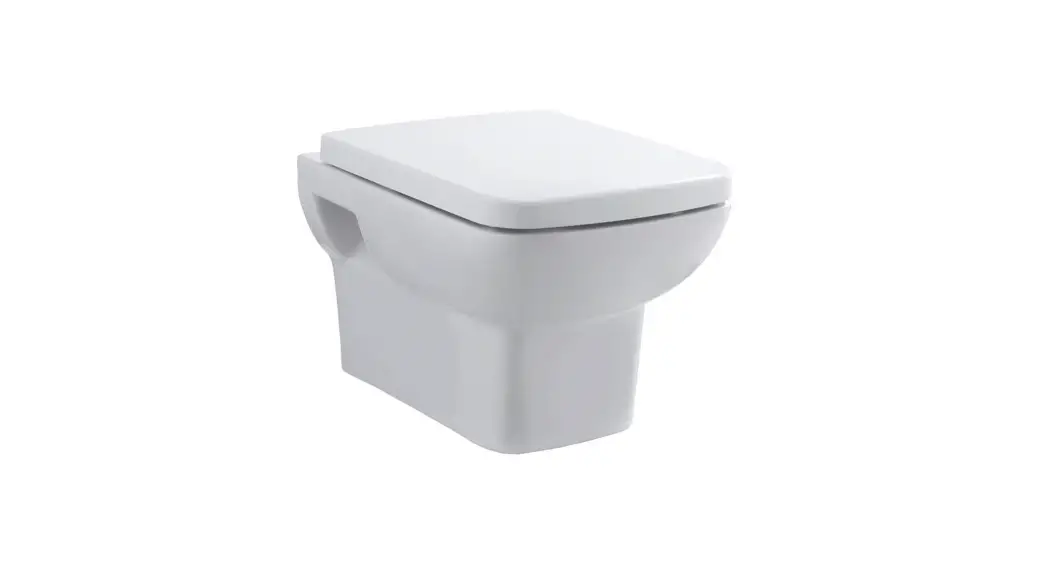 Geberit Wall Mounted Toilet Bowl Instruction Manual