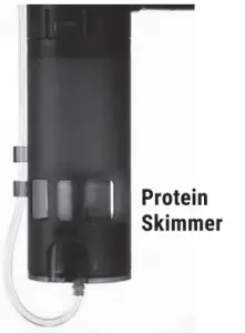 Protein Skimmer