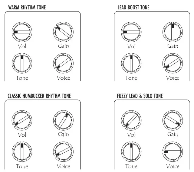 WARM AUDIO Warmdrive Overdrive Pedal - Figure 2