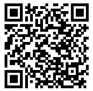 HAVIT Lightning HCP 602002 L Proline Pendant Connectors - Qr Code