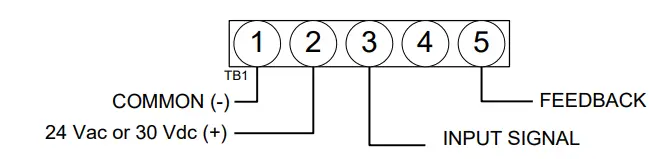 neptronic-BM060FFN-Fast-Actuators-3